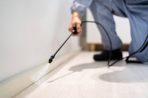 Professional exterminator conducting IPM assessment in Ingram